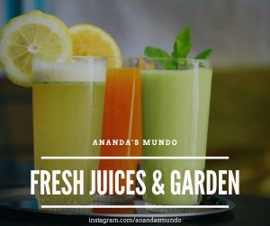 Juice Bar & Garden